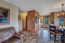 Lost Dog - Cozy home away from home - Image 3