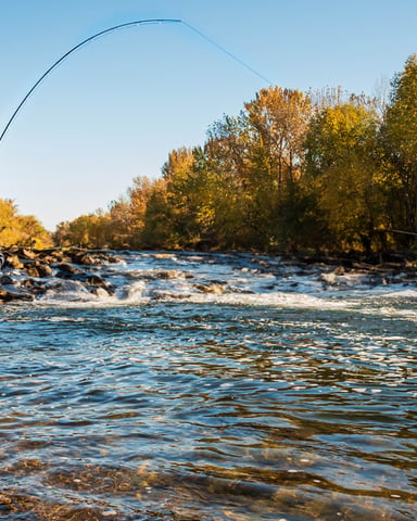 Fly fisherman casting in river surrounded by autumn foliage and rocky banks