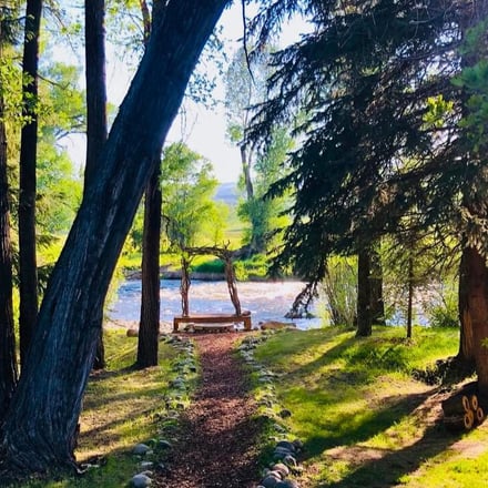 Tree-lined path leading to wooden swing overlooking river with forested hills beyond