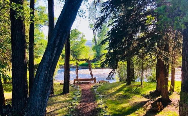 Tree-lined path leading to a wooden swing overlooking a river with forested hills beyond