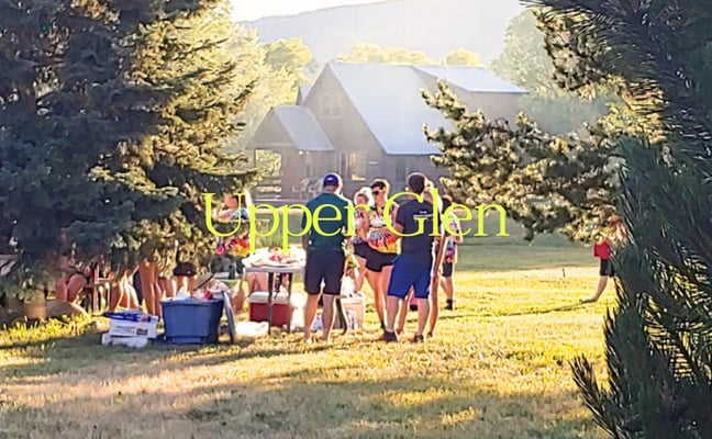 Outdoor gathering with multiple people on a lawn between evergreen trees, house visible in background