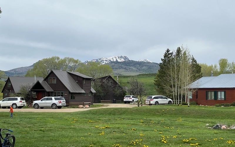 Rustic log cabins with metal roofs on grassy property, snow-capped mountain in background, parked vehicles, birch trees, and wildflowers.