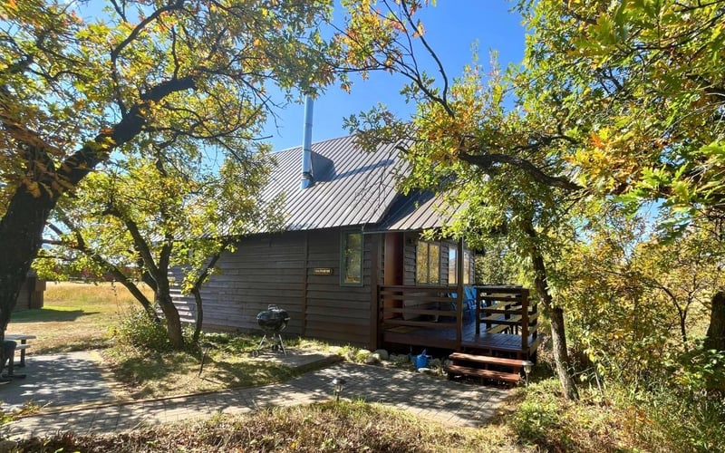 Small dark cabin with metal roof and wooden deck surrounded by autumn trees with yellow foliage